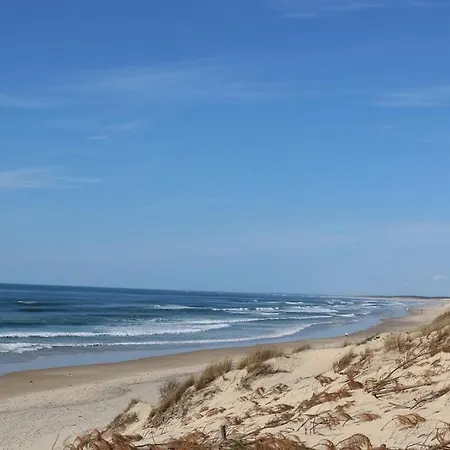 Bourg Duplex Proche Commerces 6 Couchages Lägenhet Biscarrosse