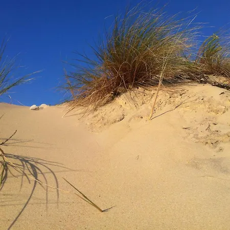 Bourg Duplex Proche Commerces 6 Couchages Lägenhet Biscarrosse