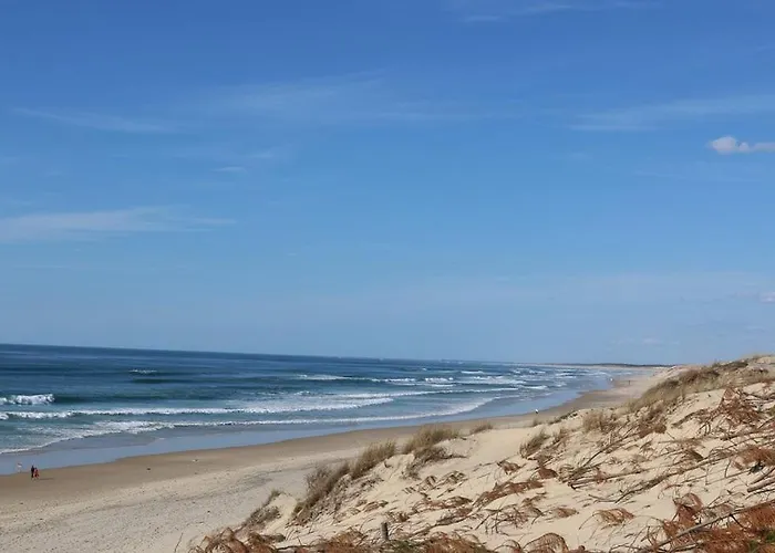 Bourg Duplex Proche Commerces 6 Couchages Lejlighed Biscarrosse