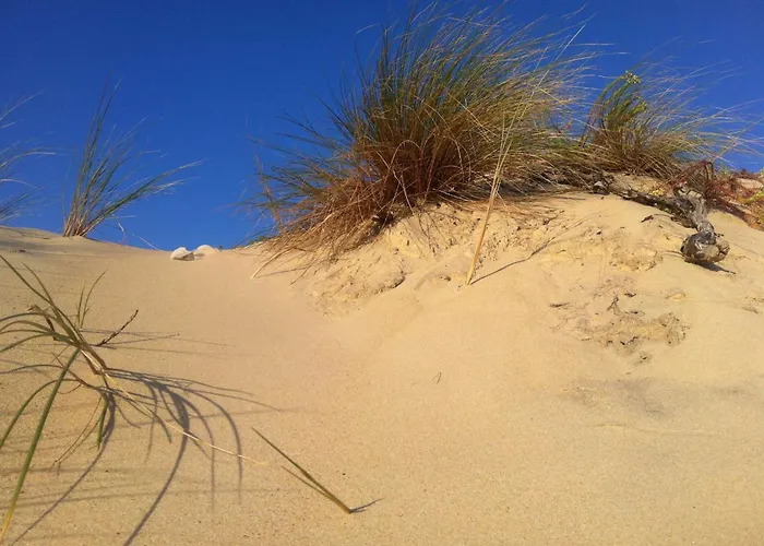 Bourg Duplex Proche Commerces 6 Couchages Lejlighed Biscarrosse