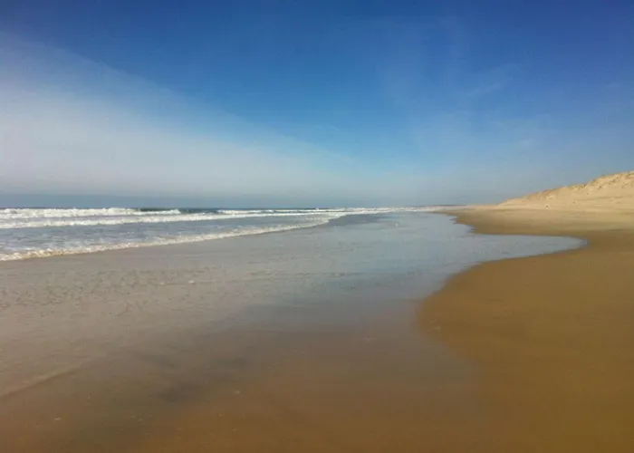 Bourg Duplex Proche Commerces 6 Couchages Lejlighed Biscarrosse